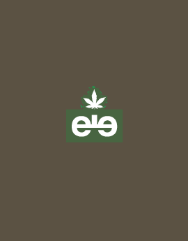 evergreen_product_bg